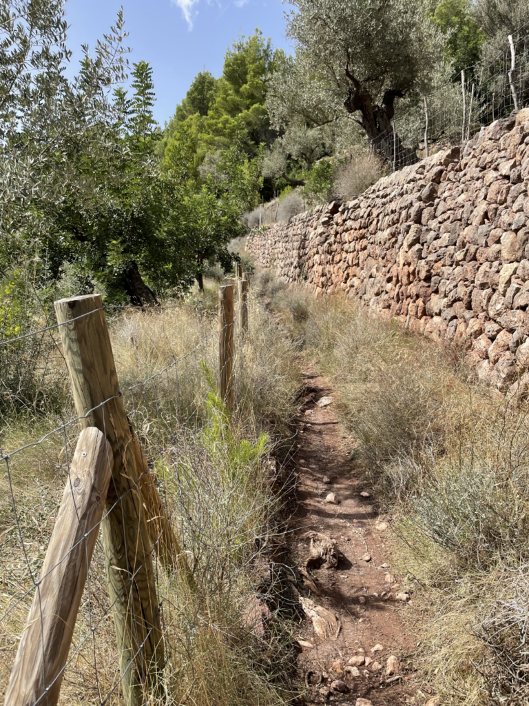 Wanderweg Fornalutx