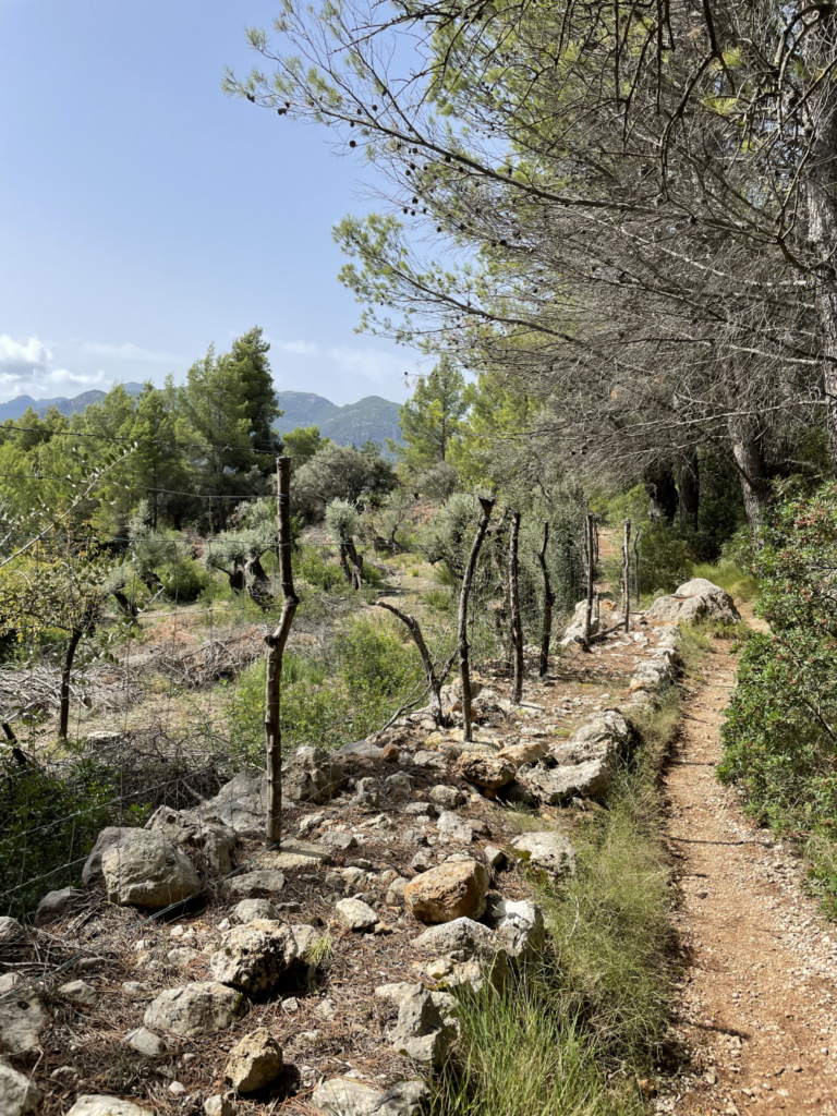 Wanderweg Fornalutx