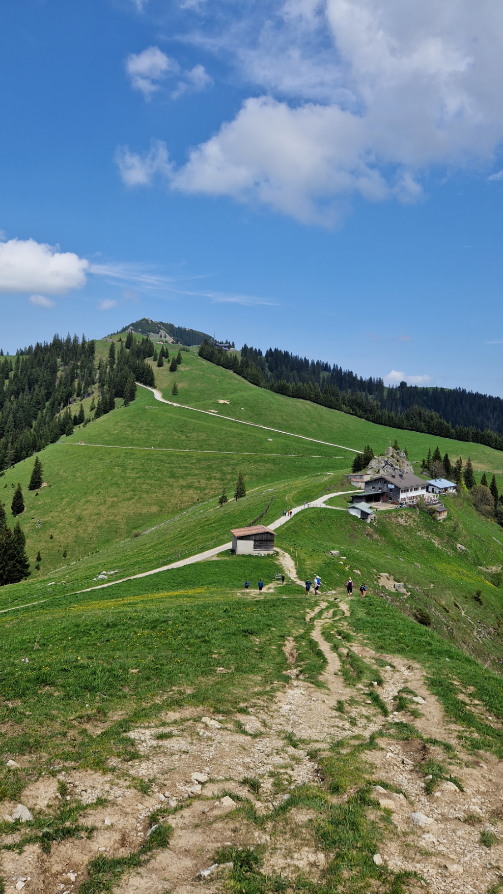 Aufstieg zum Setzberg mit Blick auf das alte Wallberghaus.