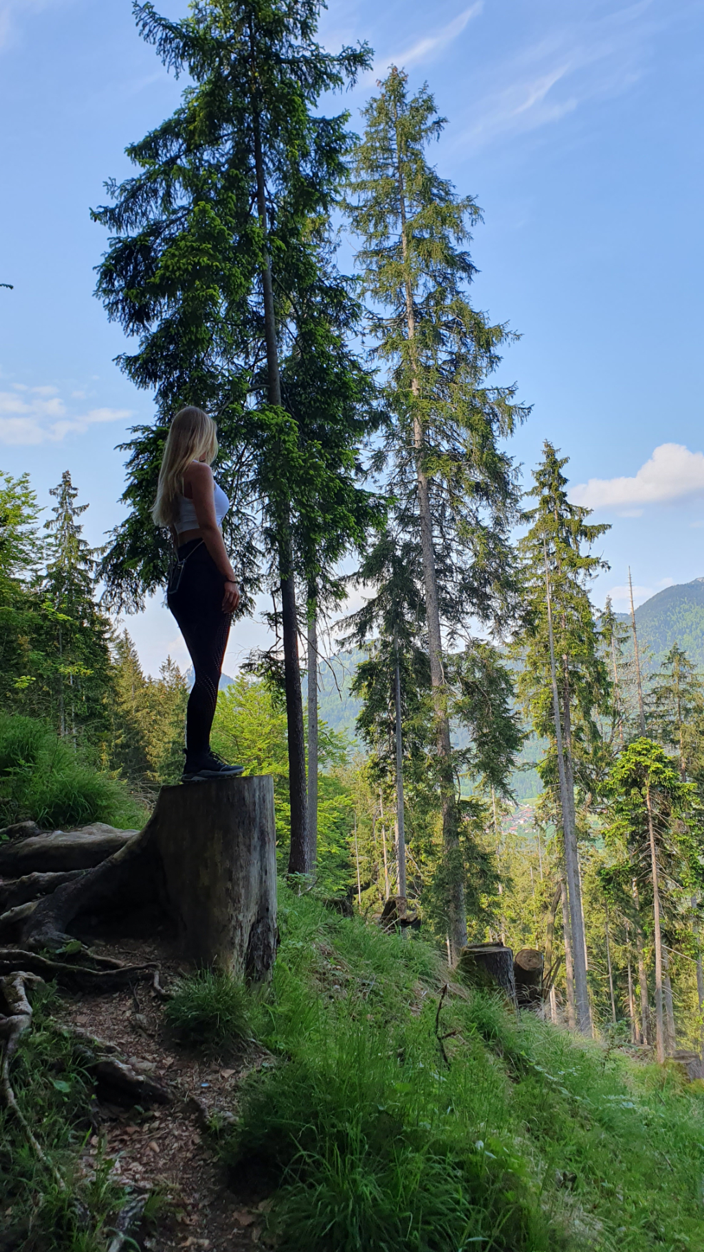 Ausblick auf dem Pfad zum Wallberg