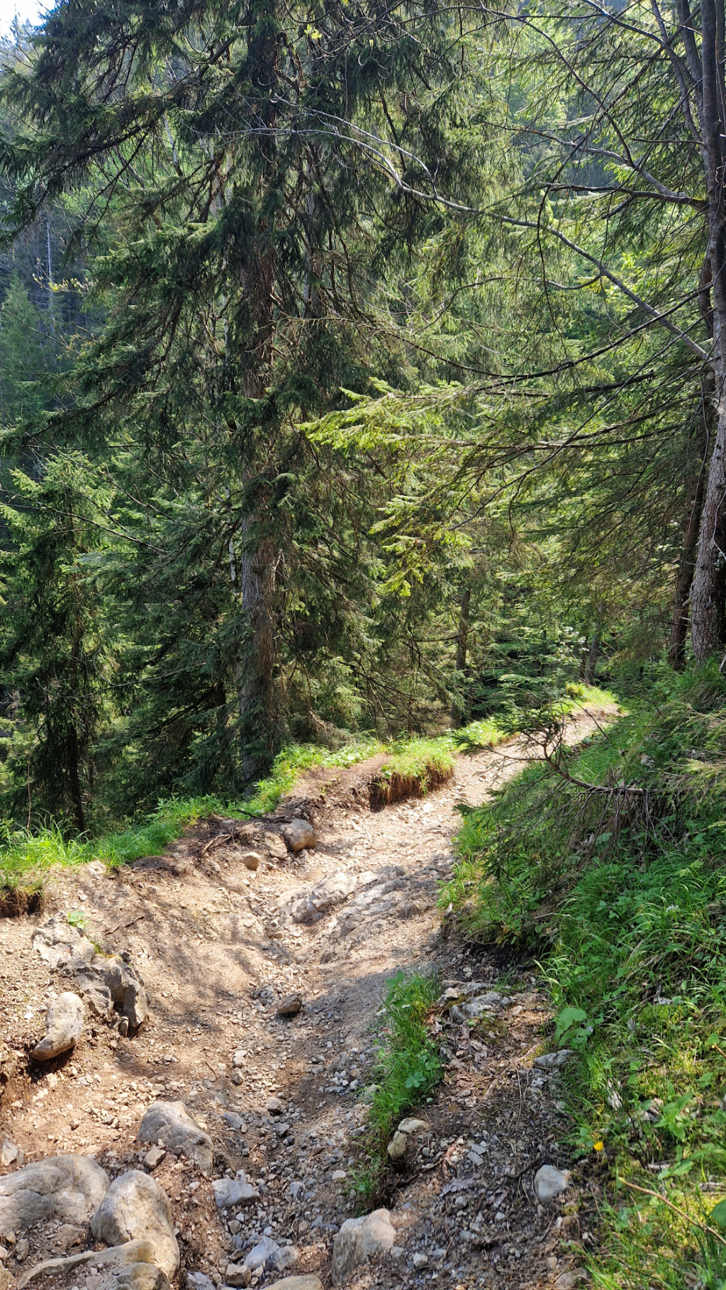 Steile Pfade am Wallberg